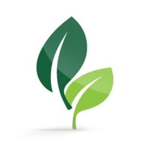Green Leaf